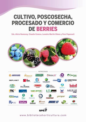 Supermercados En  Las Matas De Farfán